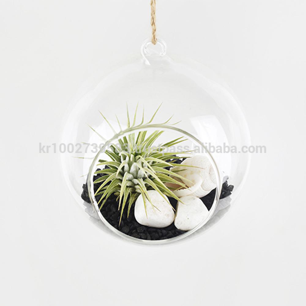 Tillandsia Hanging Glass Gift Set." Black Sea " by Joinflower Joinfolia