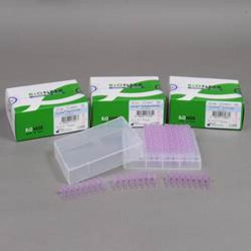  DNA/RNA amplification AccuPowerⓇ  |  amplification, PCR, DNA, RNA, premix, real-time qPCR, hotstart, high fidelity, SYBR green, green star, accupower, rocketscript, taq, reverse transcriptase, quantitative, quantification, enzyme-mediated hotstart