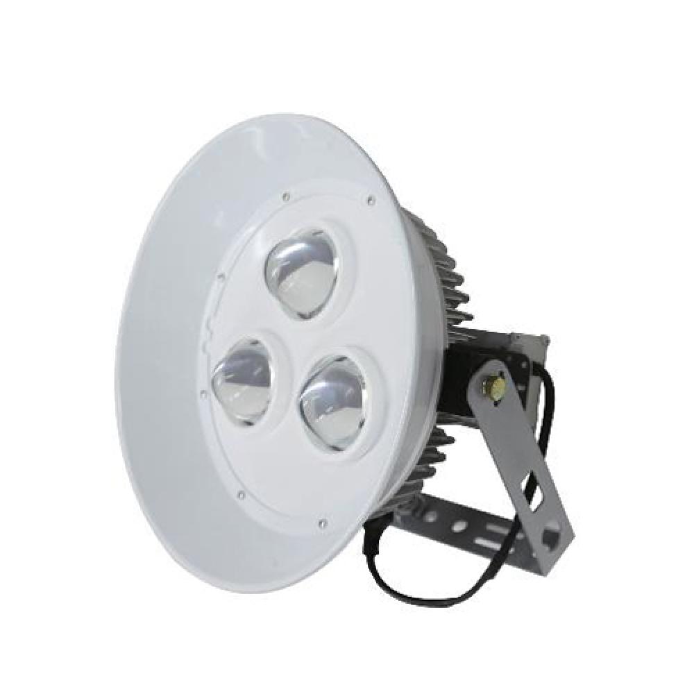 LED Flood Lights (Factory Lights)