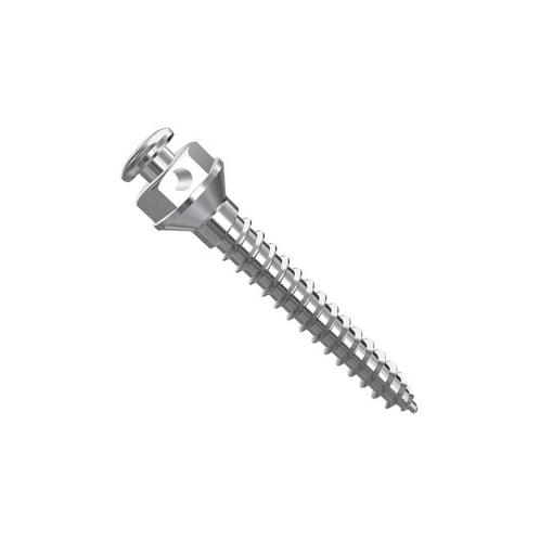 FIXCREW (Mini Implant System)