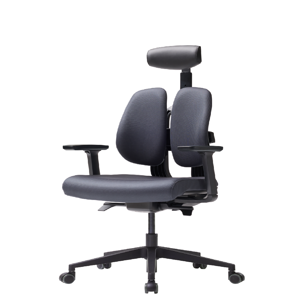 DX2 ergonomic office chair, task chair , home furniture